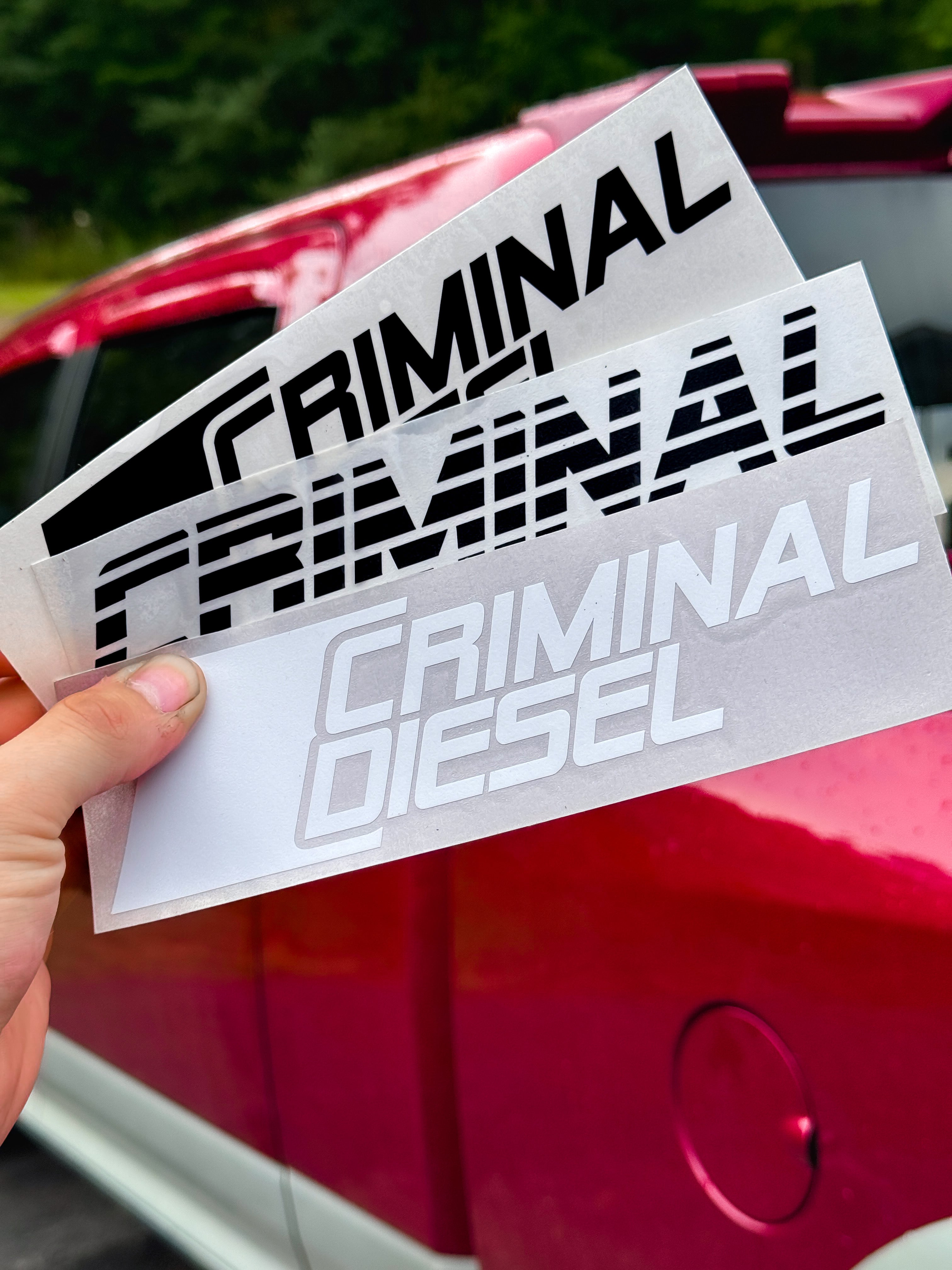Transfer Decal 8"