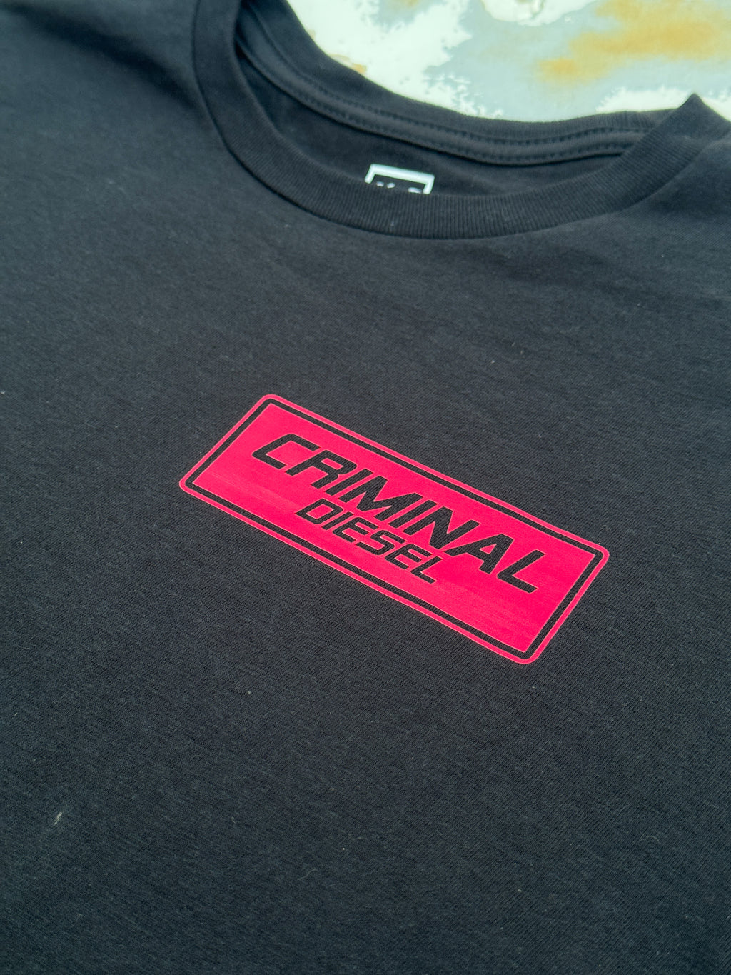 -HIDE FROM THE ORDINARY- Truck Tee