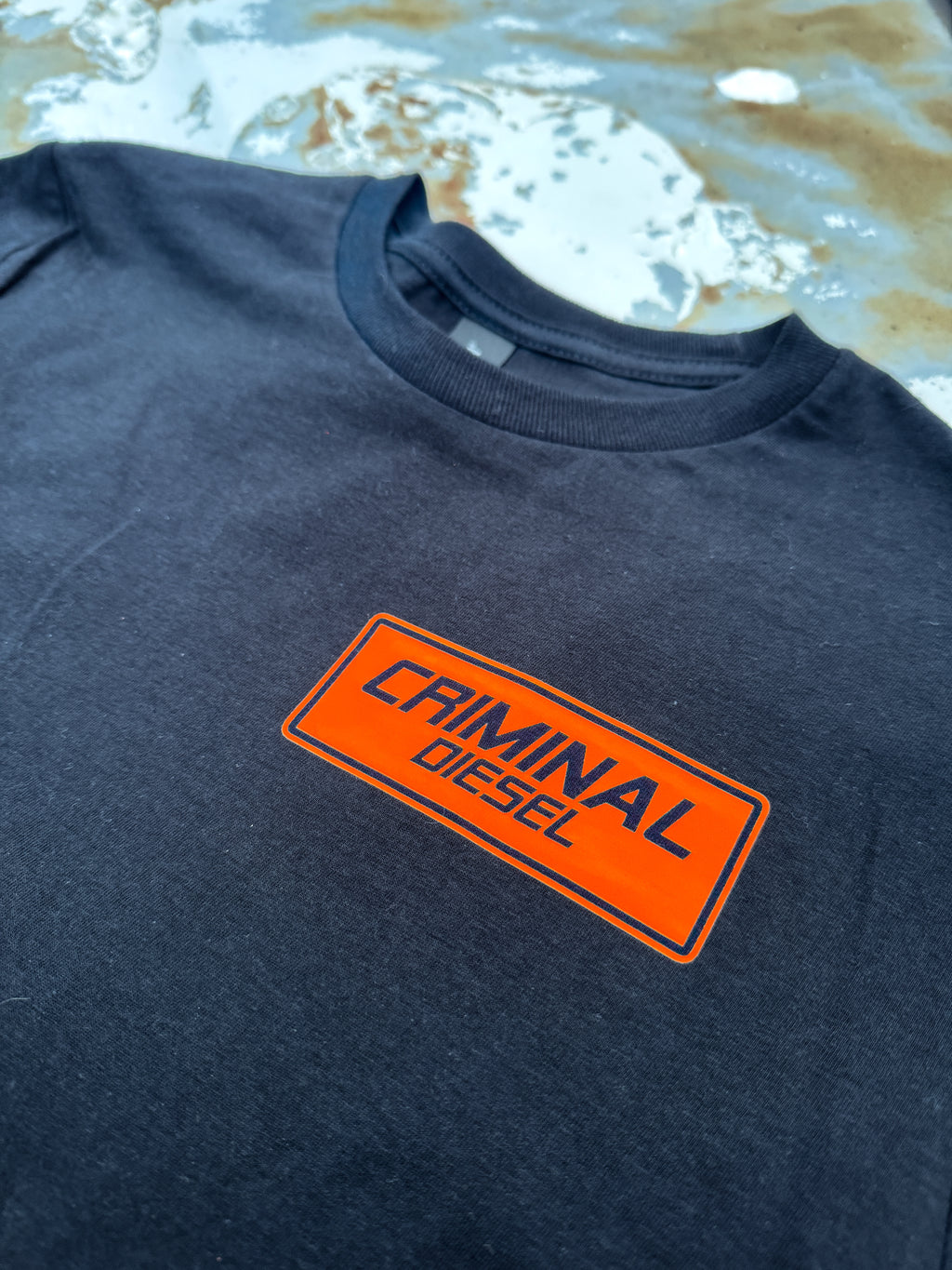 -HIDE FROM THE ORDINARY- Truck Tee