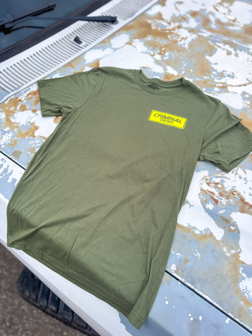 -HIDE FROM THE ORDINARY- Truck Tee