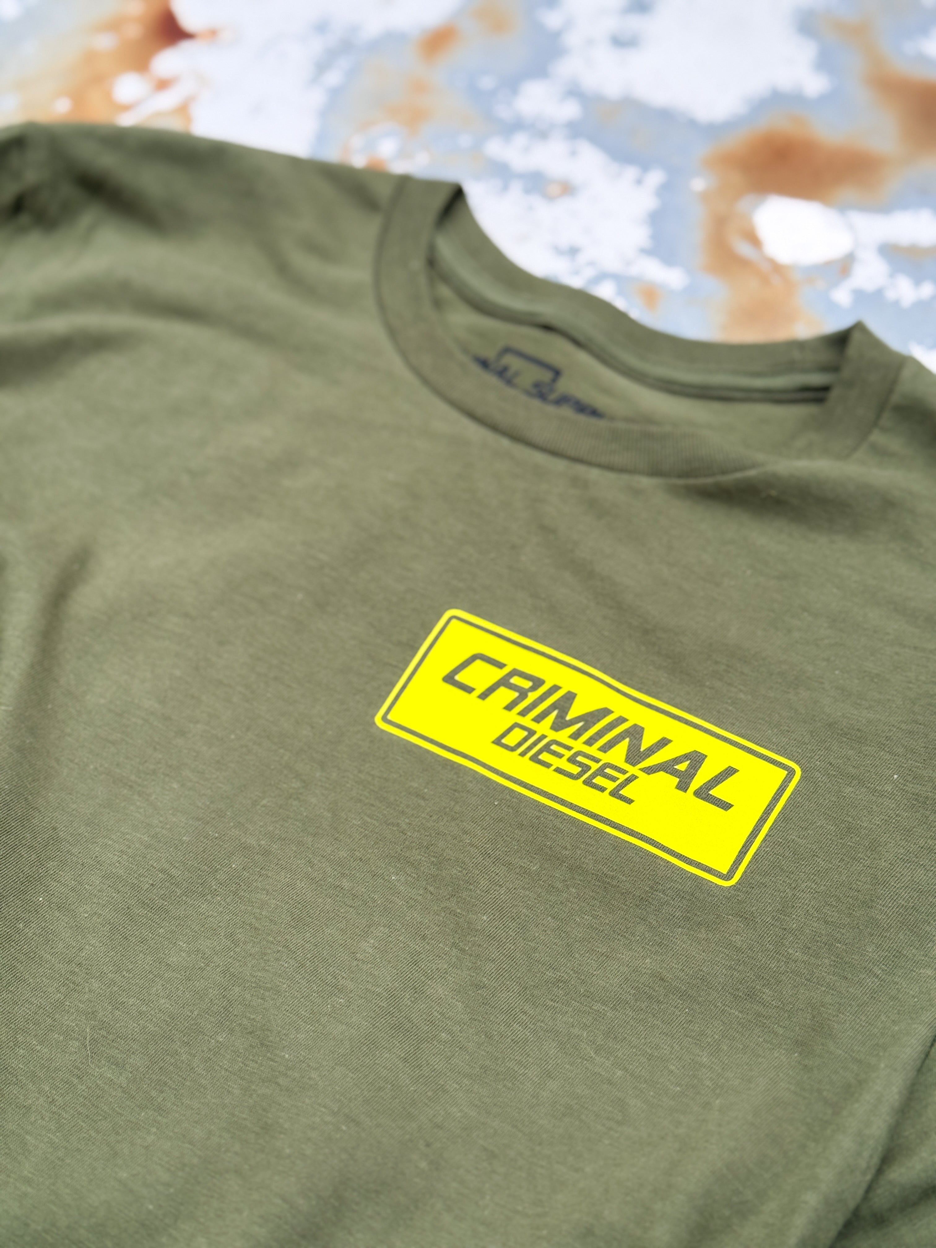 -HIDE FROM THE ORDINARY- Truck Tee