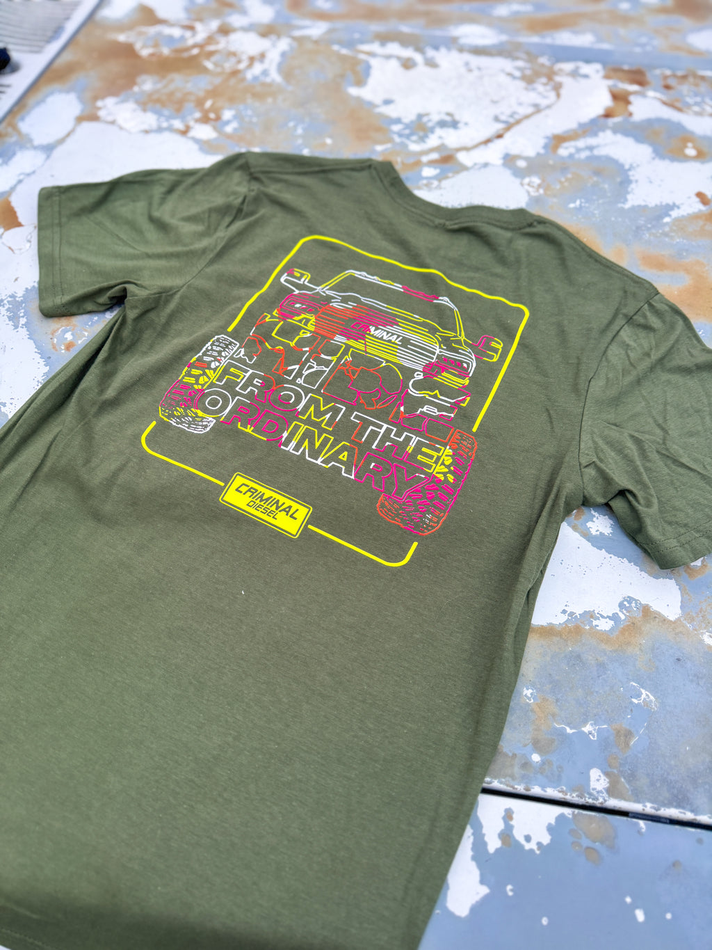 -HIDE FROM THE ORDINARY- Truck Tee