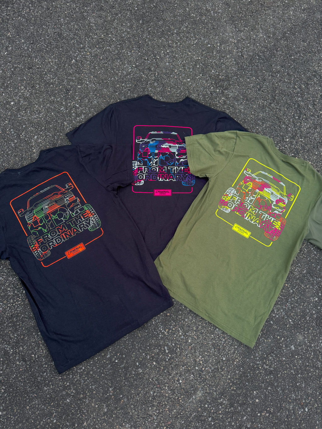 -HIDE FROM THE ORDINARY- Truck Tee