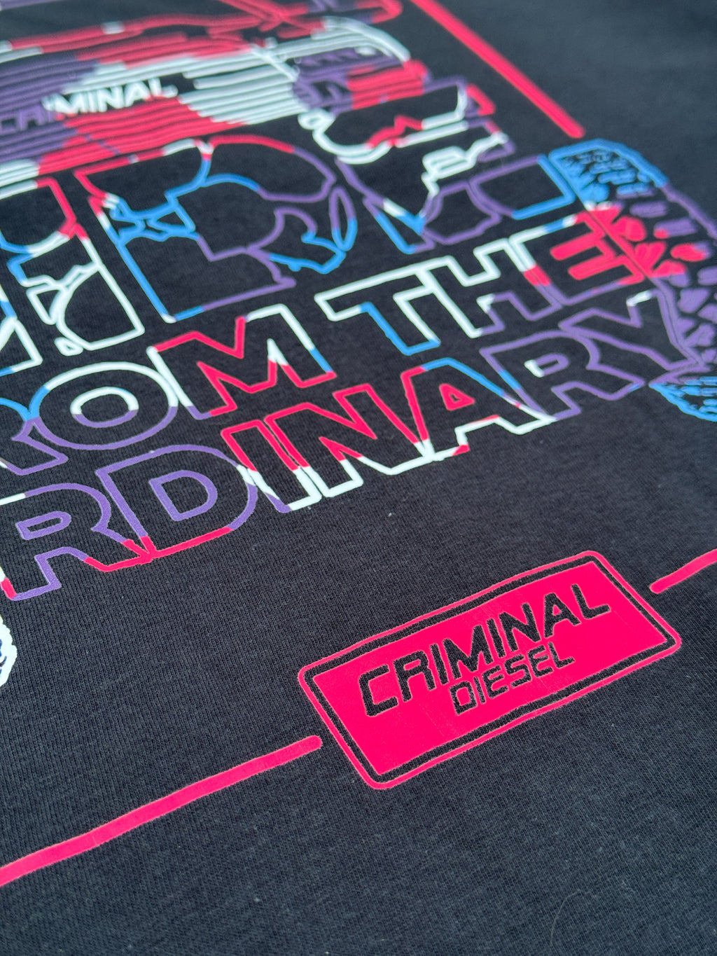 -HIDE FROM THE ORDINARY- Truck Tee