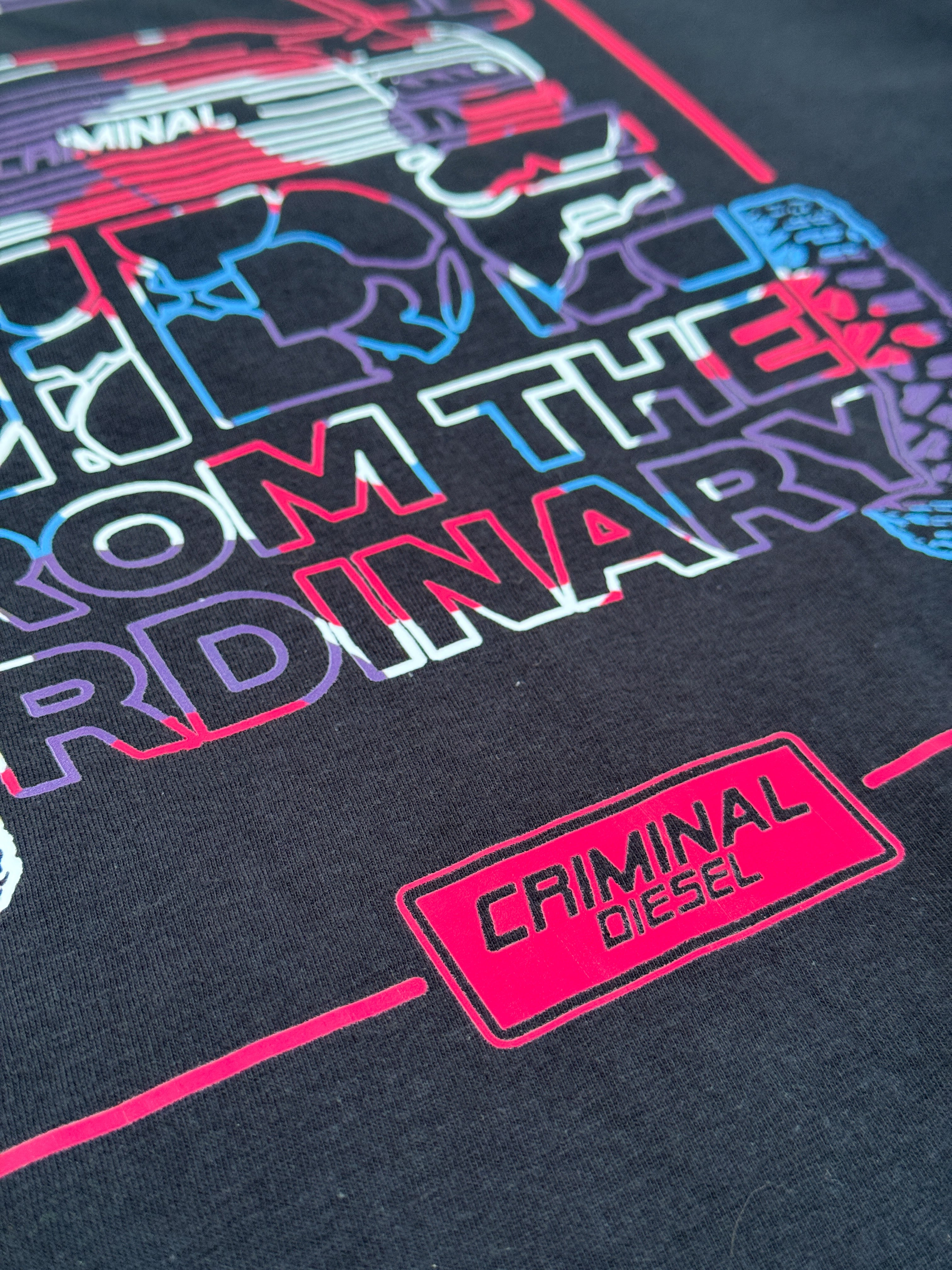 -HIDE FROM THE ORDINARY- Truck Tee